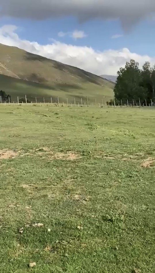 EL PINAR DE LOS CIERVOS, TAFI DEL VALLE