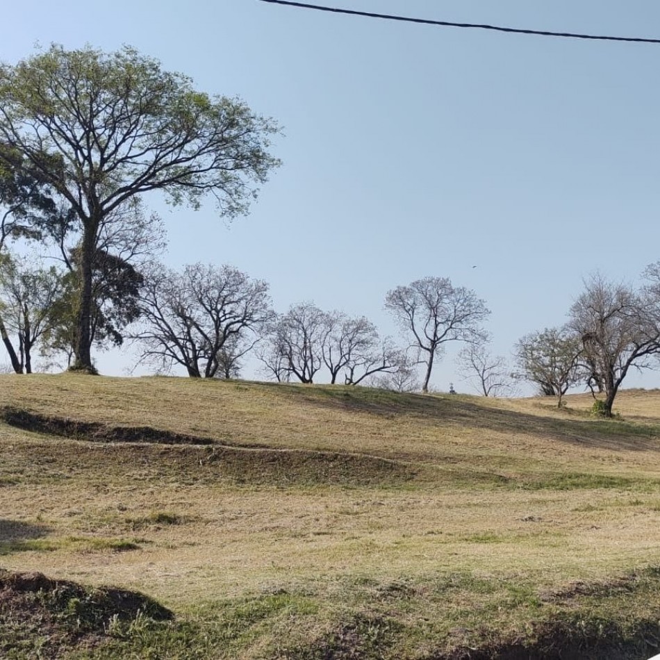 LA CANDELARIA, LOS NOGALES, TAFI VIEJO