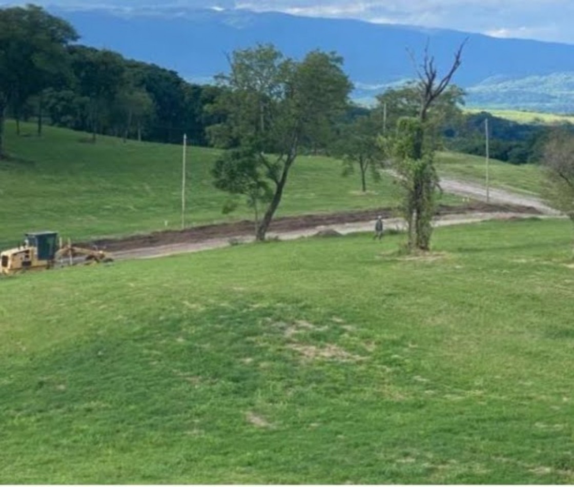 LA CANDELARIA, LOS NOGALES, TAFI VIEJO