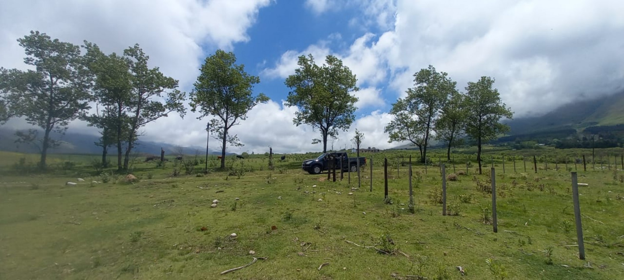 LA DONOSA, TAFI DEL VALLE