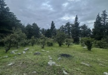 LA QUEBRADITA, TAFI DEL VALLE